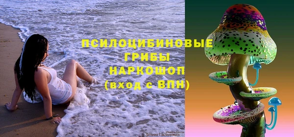 ГАЛЛЮЦИНОГЕННЫЕ ГРИБЫ Абаза