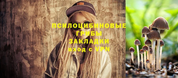 ПСИЛОЦИБИНОВЫЕ ГРИБЫ Куйбышев