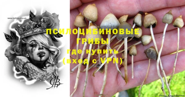МДПВ Абдулино
