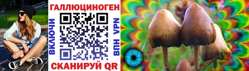 Псилоцибиновые грибы GOLDEN TEACHER Азнакаево